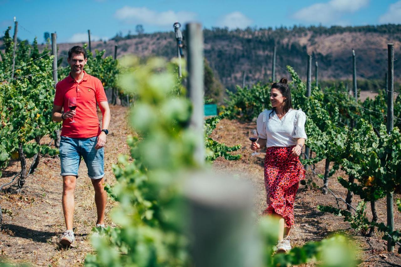Bungalow Miramar & Jeronimo At Casa Marin Vineyards 3*